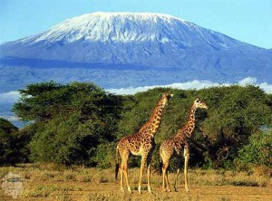 mount-kilimanjaro-2