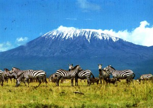 My Kilimanjaro Adventure